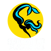 Submarine Playhouse